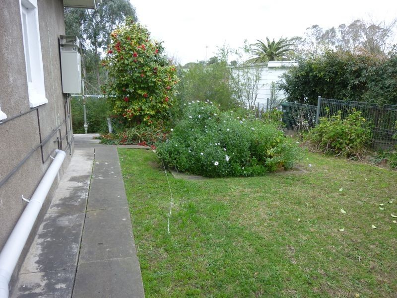 3 Haydon Street, Muswellbrook NSW 2333