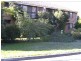 8/6 The Grove, Skellatar Street, Muswellbrook NSW 2333