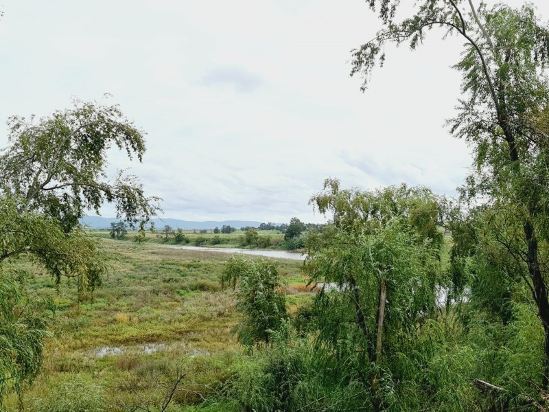 569 New England Highway, Muswellbrook NSW 2333