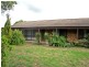 15 Riesling Street, Muswellbrook NSW 2333