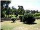 3 Pinot Street, Muswellbrook NSW 2333