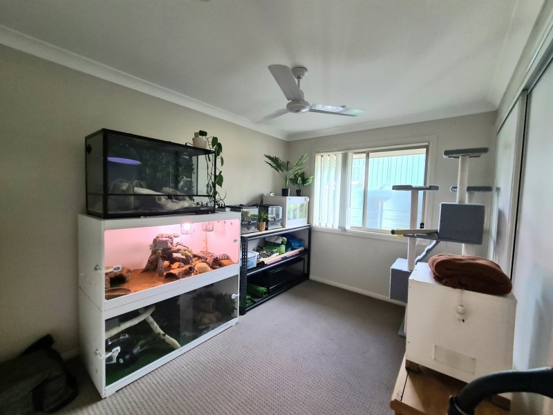 19 Dixon Circuit, Muswellbrook NSW 2333