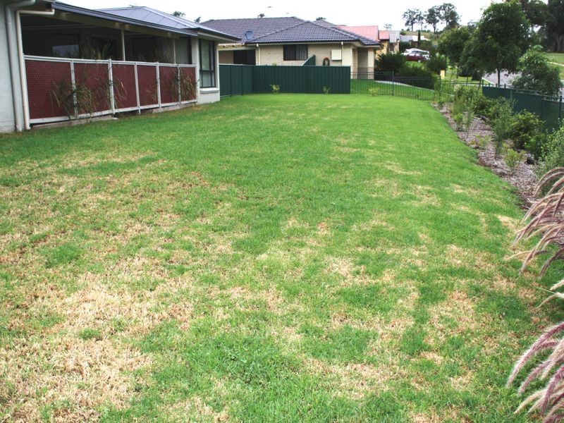 1 Henry Dangar Drive, Muswellbrook NSW 2333