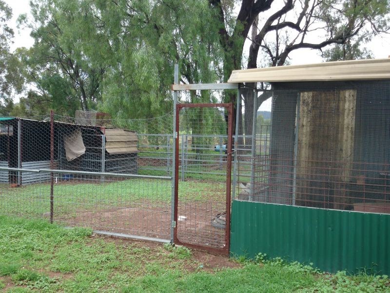 131 Goulburn Drive, Sandy Hollow NSW 2333