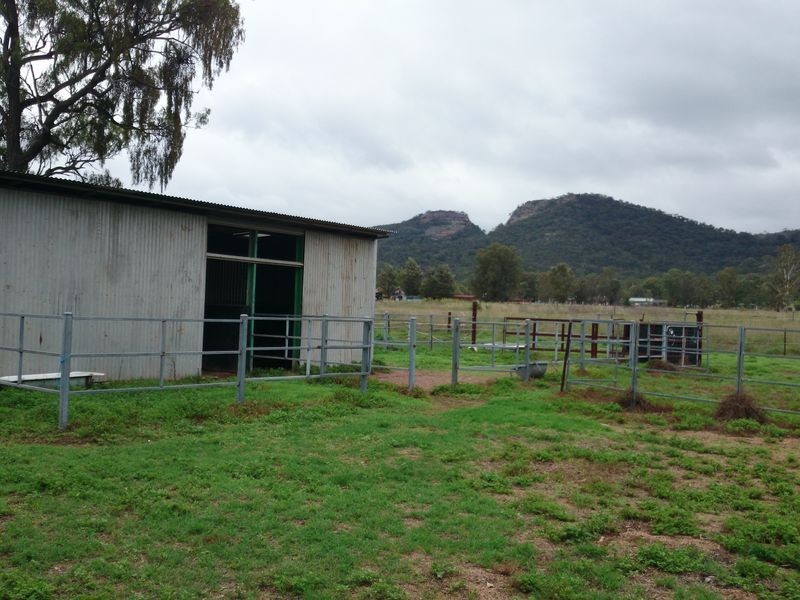 131 Goulburn Drive, Sandy Hollow NSW 2333