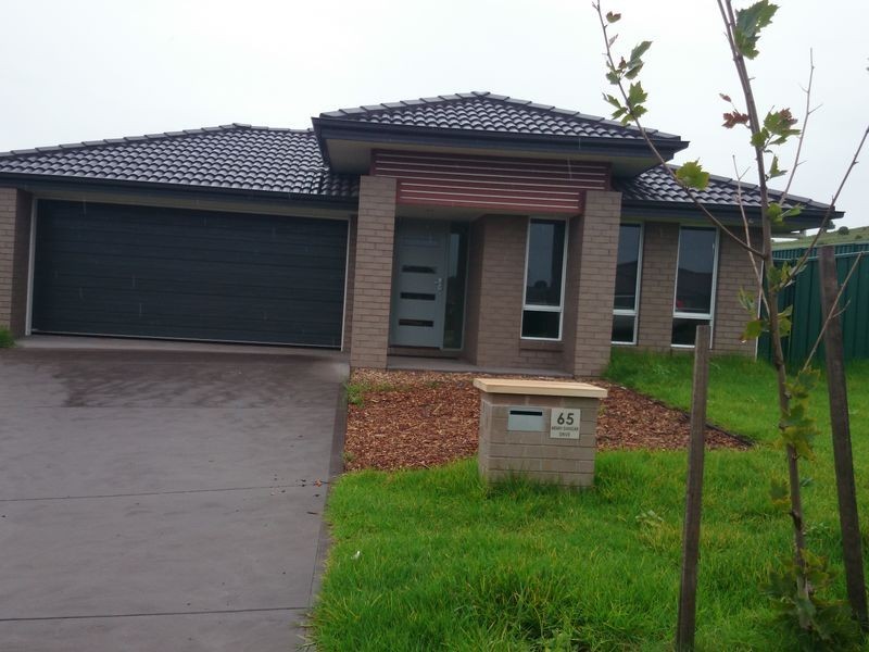 65 Henry Dangar Drive, Muswellbrook NSW 2333