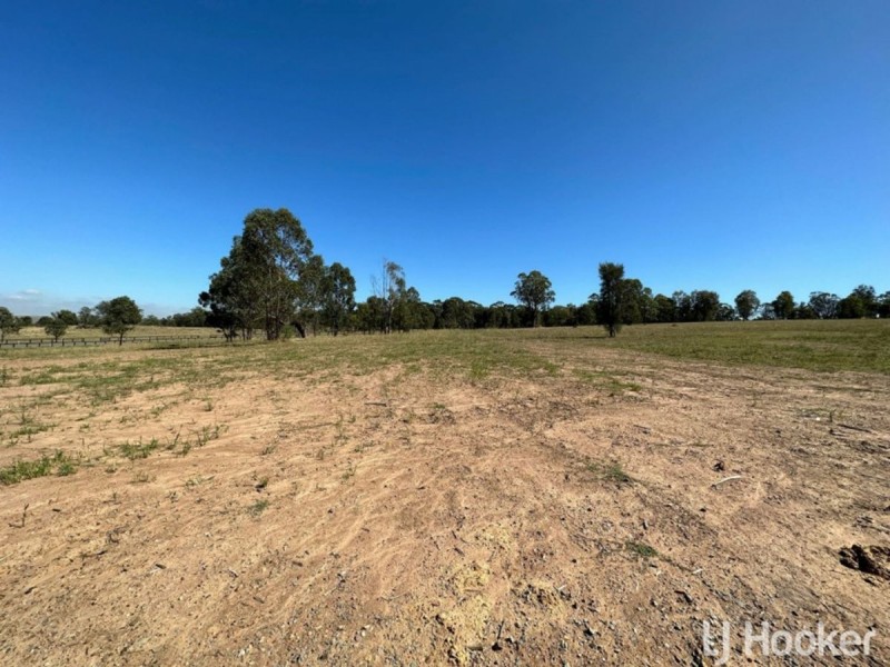 4 Herdsman Close, Muswellbrook NSW 2333