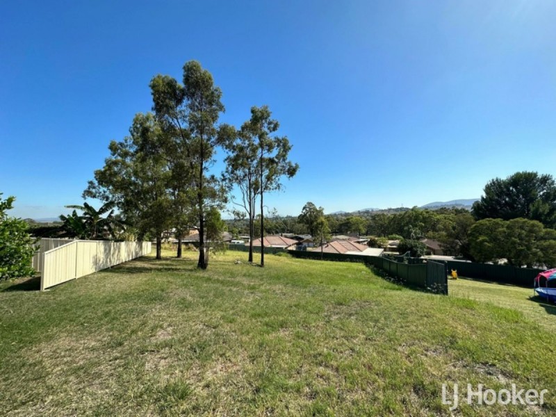 20 Lou Fisher Close, Muswellbrook NSW 2333