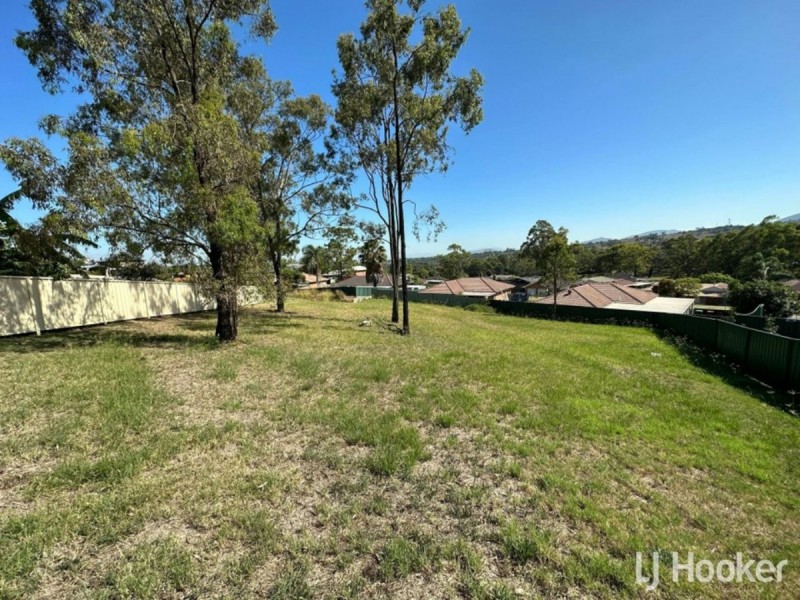 20 Lou Fisher Close, Muswellbrook NSW 2333