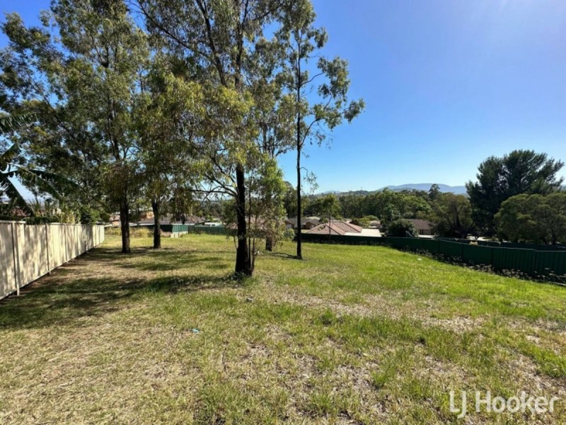 20 Lou Fisher Close, Muswellbrook NSW 2333
