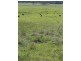 Lot 173 Kings Creek, Yarrawa NSW 2328