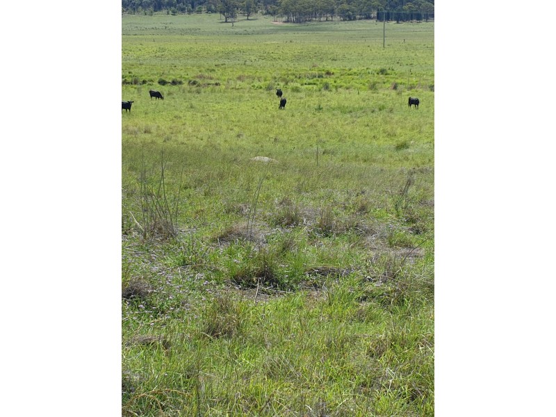 Lot 173 Kings Creek, Yarrawa NSW 2328