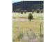 Lot 173 Kings Creek, Yarrawa NSW 2328