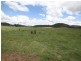 Lot 173 Kings Creek, Yarrawa NSW 2328