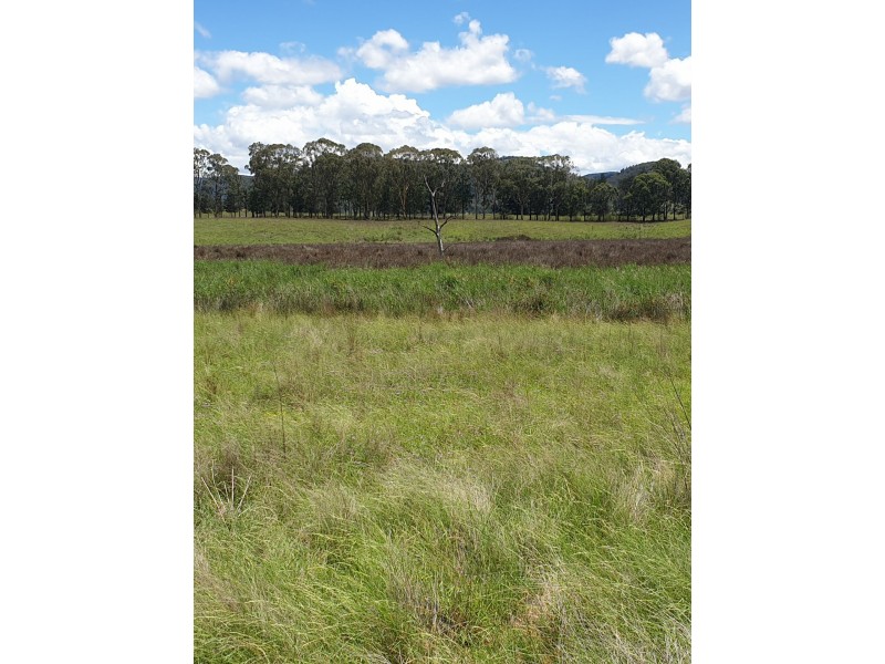 Lot 173 Kings Creek, Yarrawa NSW 2328