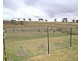 28 Chivers Circuit, Muswellbrook NSW 2333