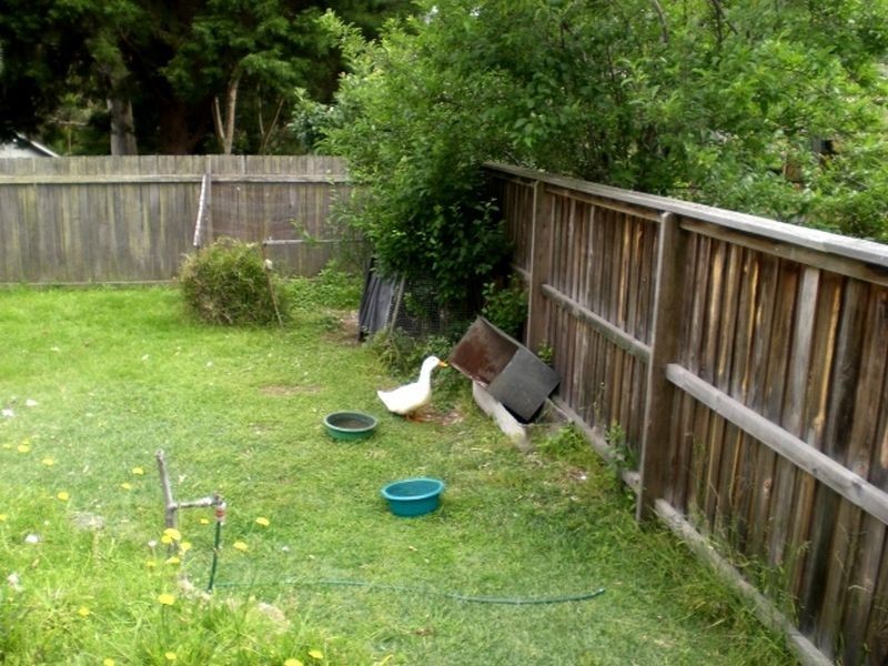 Lower Level/112 Parr Parade, Narraweena NSW 2099