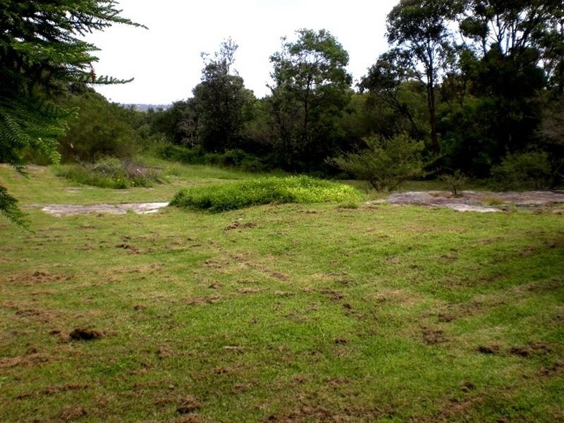 41 Wheeler Parade, Dee Why NSW 2099