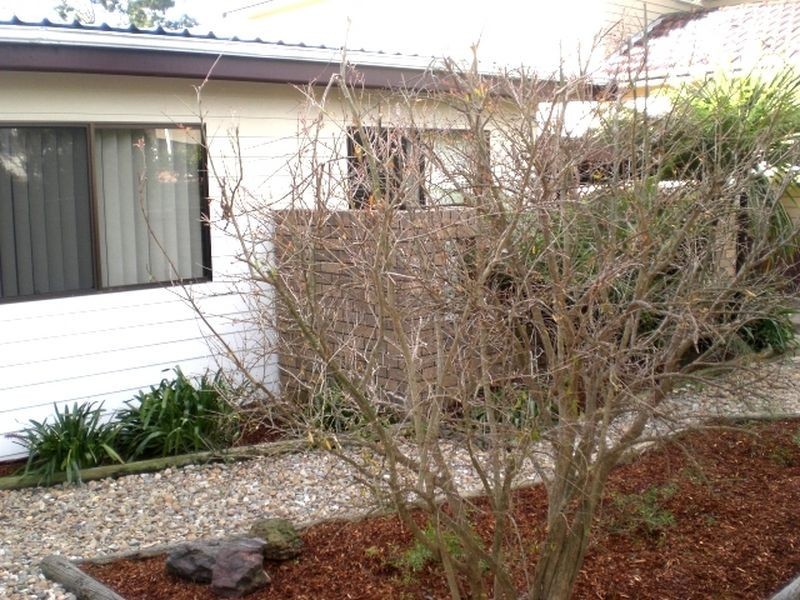 6 Stewart Avenue, Curl Curl NSW 2096