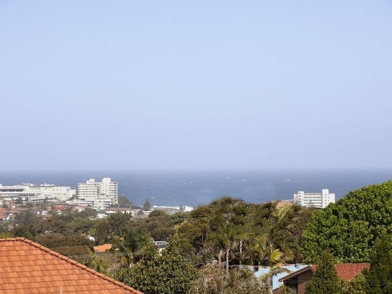 177 Wyndora Ave, Freshwater NSW 2096