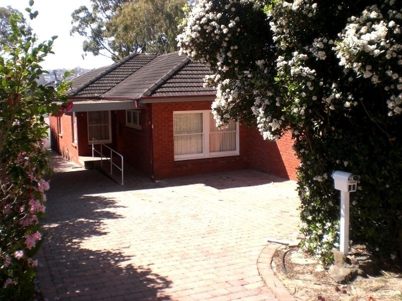 87 Brighton Street, Curl Curl NSW 2096