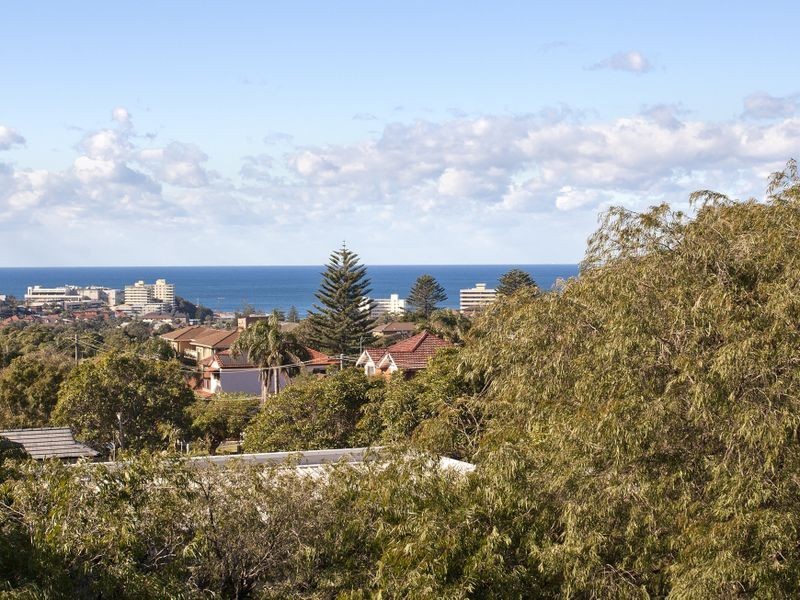 12 McDonald Street, Freshwater NSW 2096