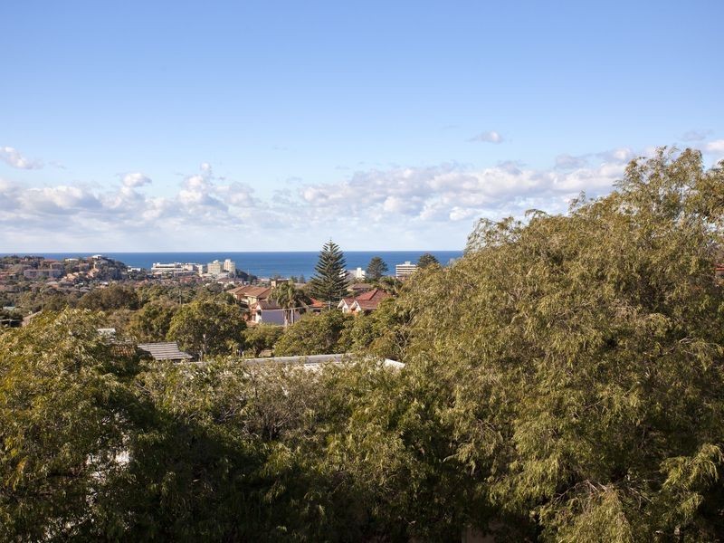 12 McDonald Street, Freshwater NSW 2096