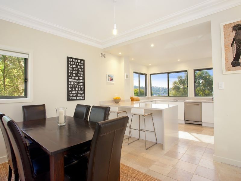 41 McDonald Street, Freshwater NSW 2096