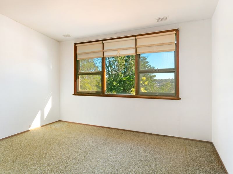15a Ozone Street, Freshwater NSW 2096