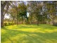31 Bennett Street, Curl Curl NSW 2096