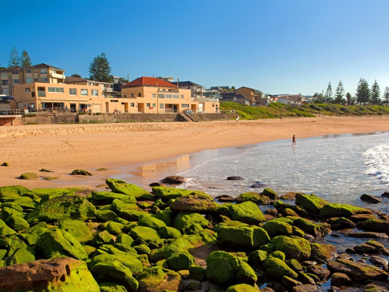 2/50a Carrington Parade, Curl Curl NSW 2096