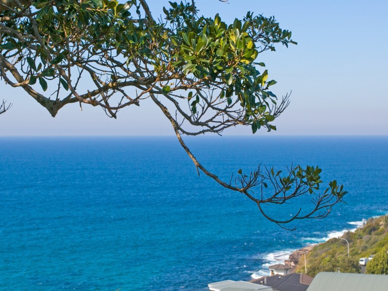 1/3 Seddon Hill Road, Freshwater NSW 2096