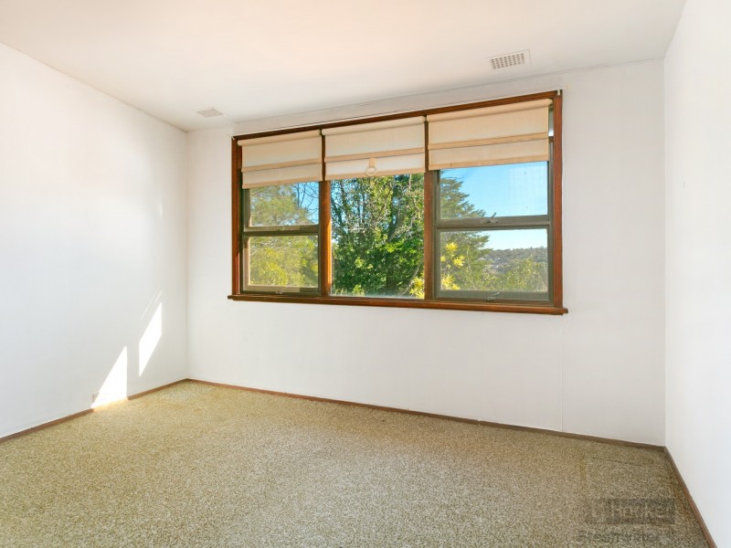 15a Ozone Street, Freshwater NSW 2096