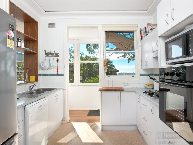 16 McDonald Street, Freshwater NSW 2096