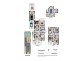 6 Coles Road, Freshwater NSW 2096 Floorplan
