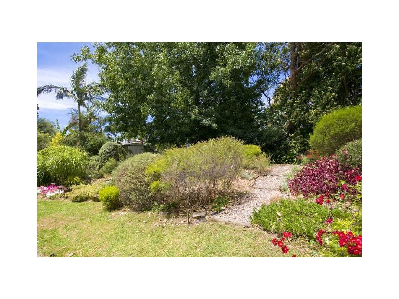 19 Inglebar Avenue, Allambie Heights NSW 2100