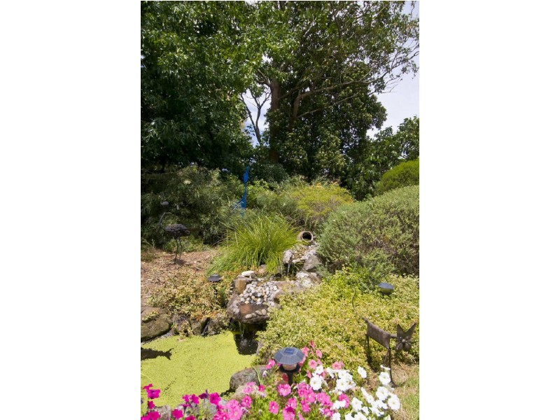 19 Inglebar Avenue, Allambie Heights NSW 2100