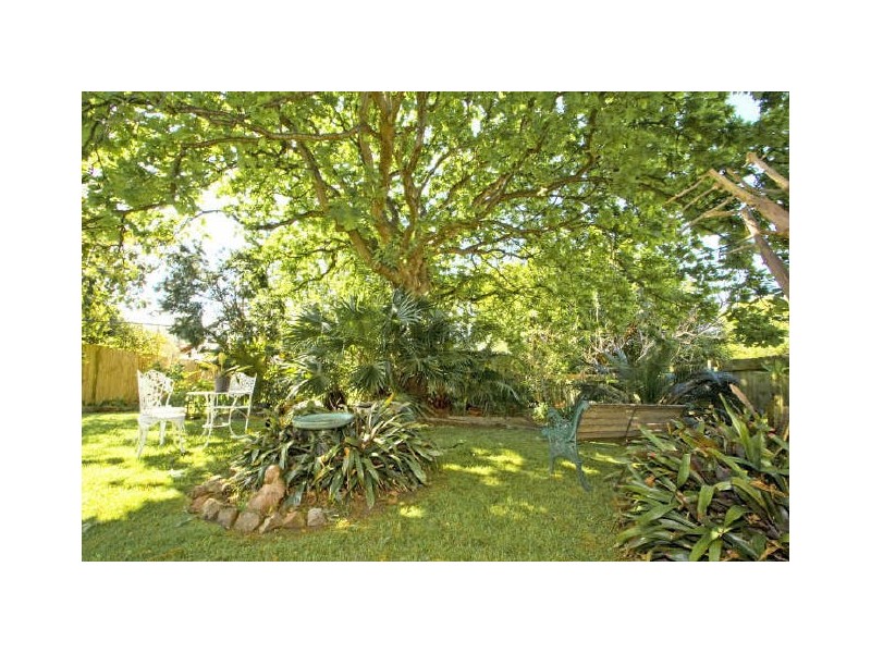 51 Robert Street, Freshwater NSW 2096