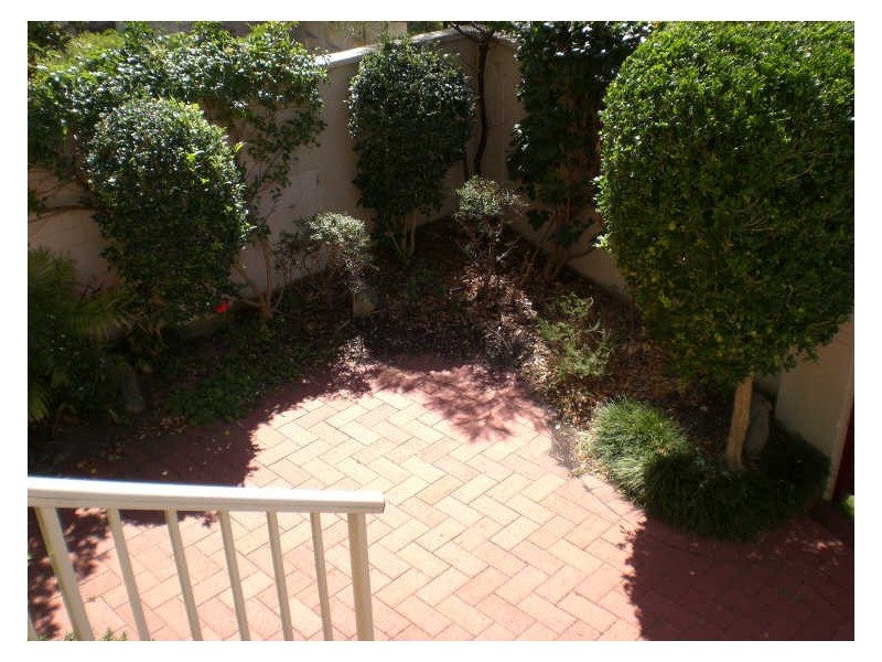 17/82 Soldiers Avenue, Freshwater NSW 2096