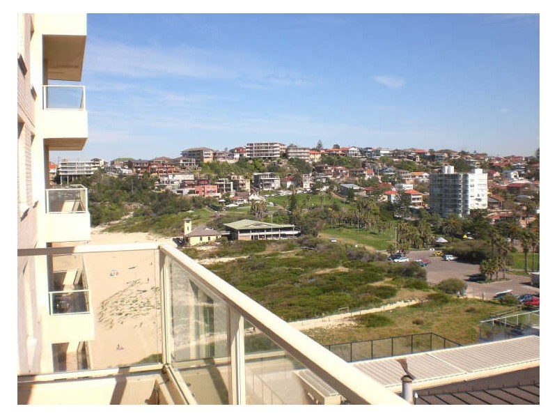 20/73 Evans Street, Freshwater NSW 2096