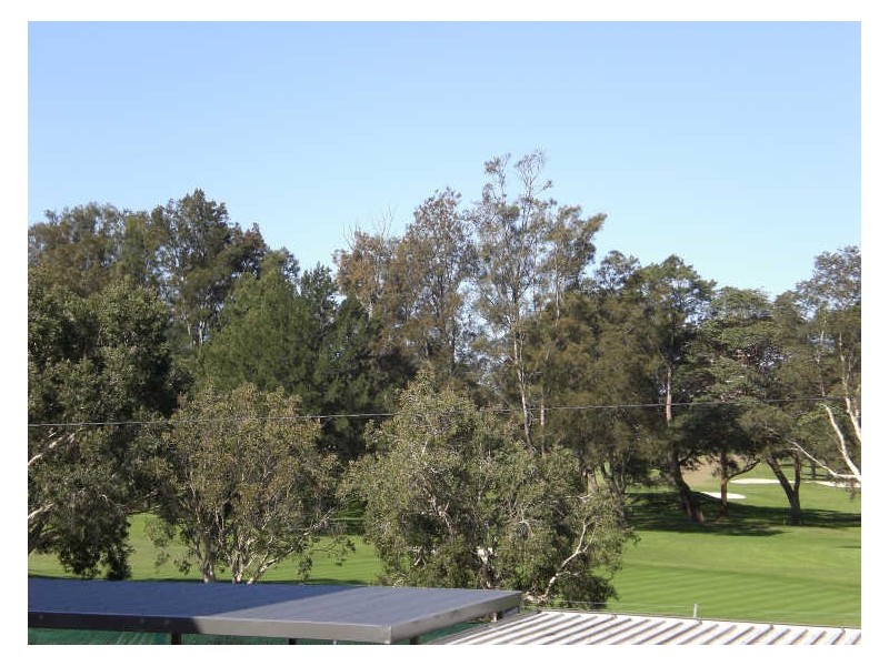 5/5 Fairway Close, Manly Vale NSW 2093