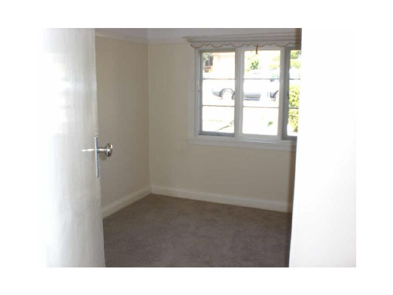 81 Bennett Street, Curl Curl NSW 2096