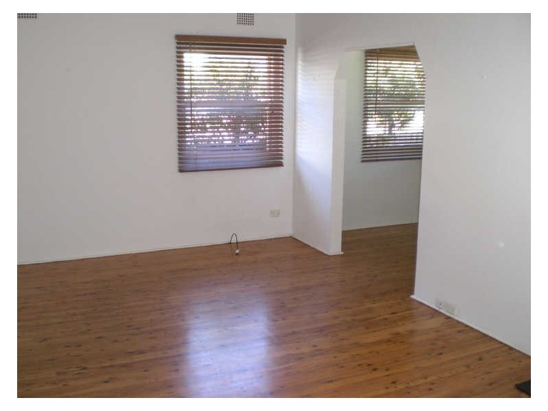 15a Wilson Street, Freshwater NSW 2096