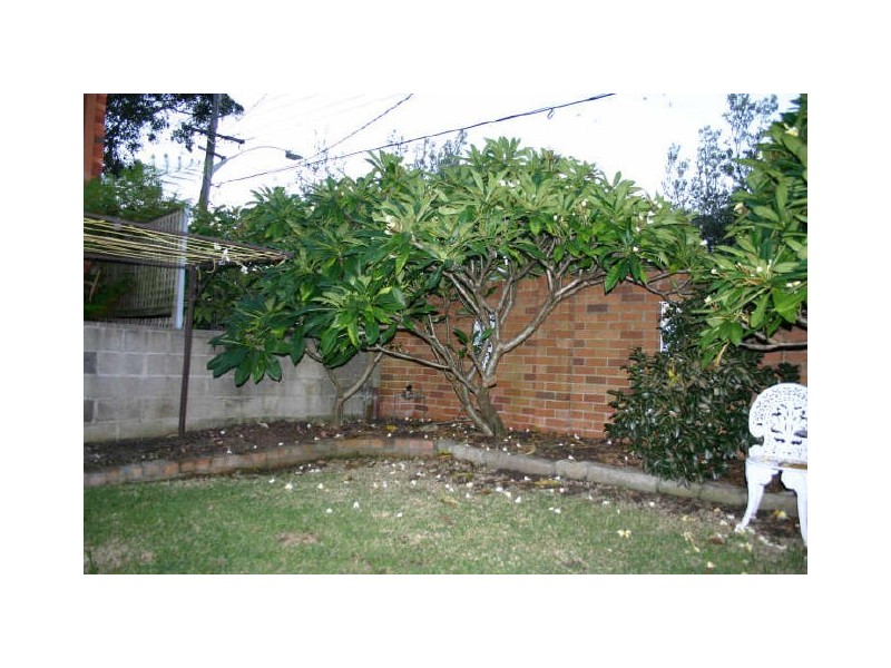 1/5 Evans Street, Freshwater NSW 2096