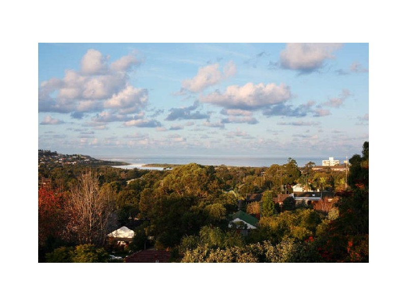 51 Prescott Avenue, Dee Why NSW 2099