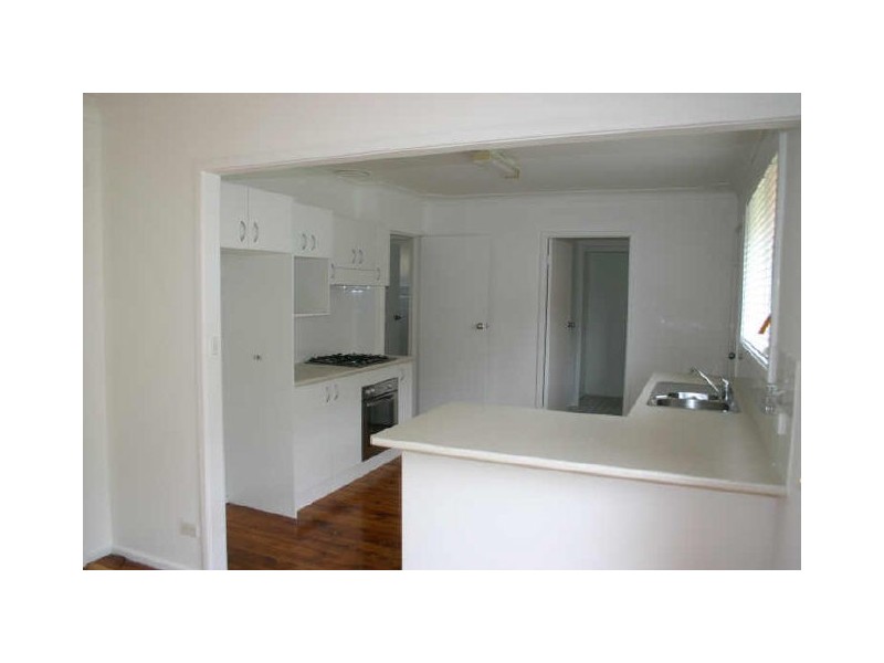 17 Carrington, Curl Curl NSW 2096