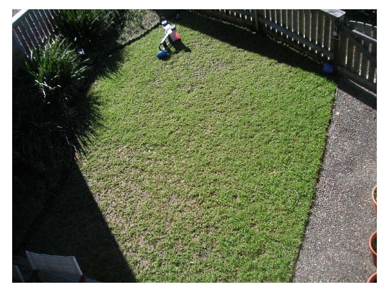 5/2-4 Beach Street, Curl Curl NSW 2096