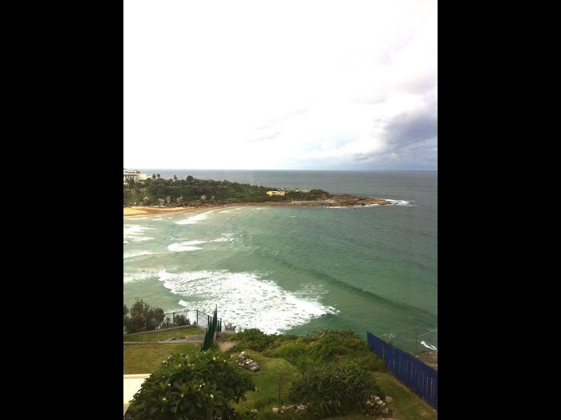 17 Pavillon Street, Queenscliff NSW 2096