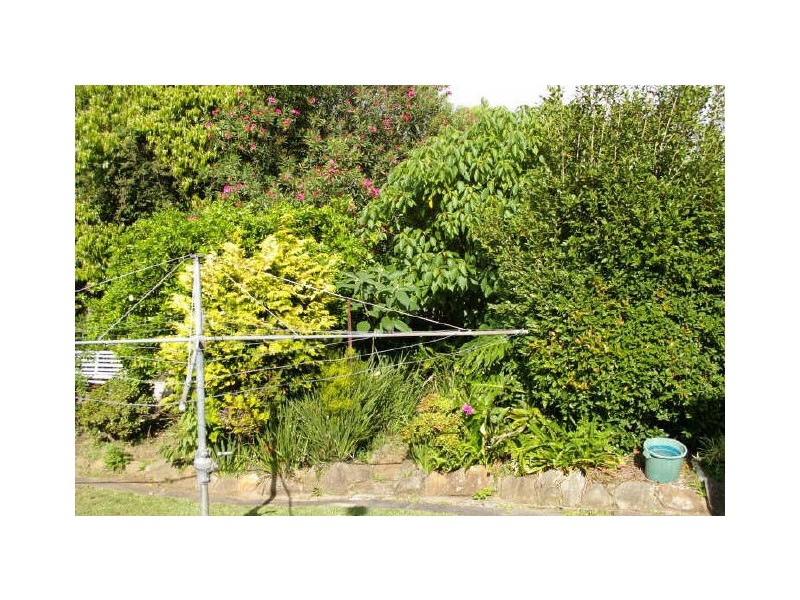 25 Harris Street, Wentworthville NSW 2145