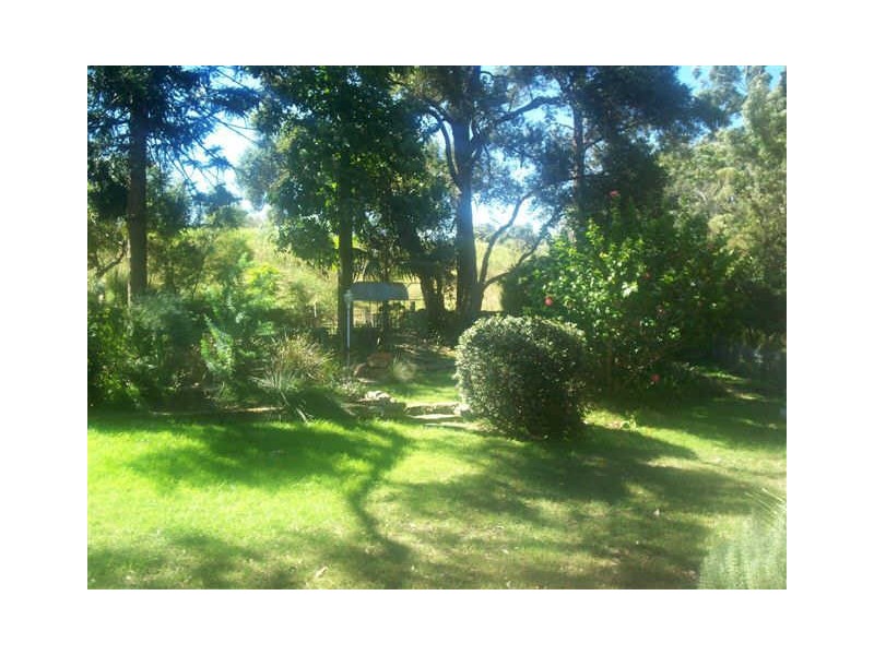 39 Anderson Road, Northmead NSW 2152